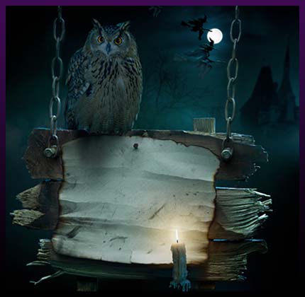 Dark magic spell owl