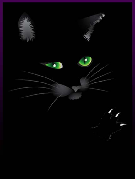 Remove black cat magic spells