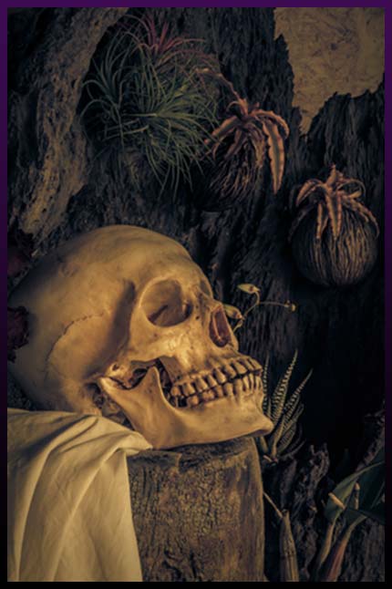 magic killing skull ritual curse question curses